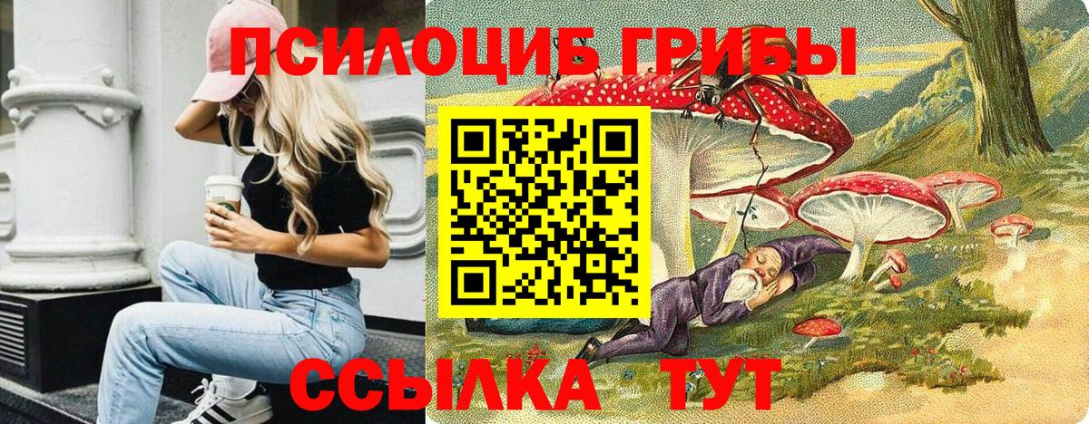 Псилоцибиновые грибы GOLDEN TEACHER Нижний Тагил
